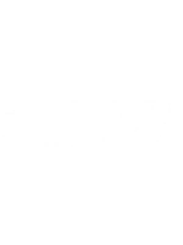 Cartel de DNB SELVA