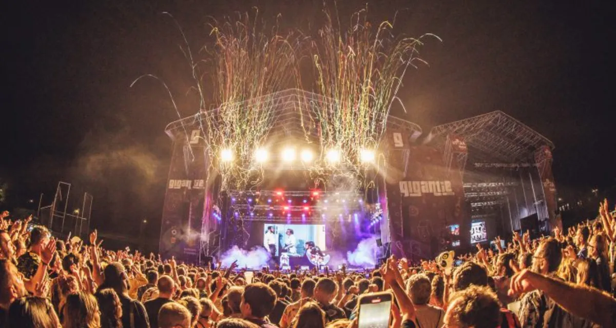 Promotor de festival revisando los resultados de una campaña de WhatsApp en su móvil