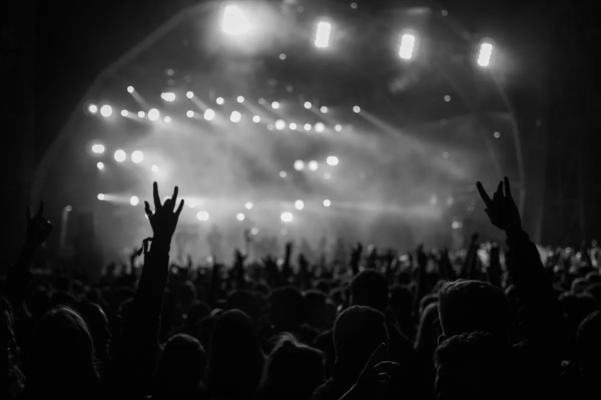 Analytics dashboard showing festival marketing metrics