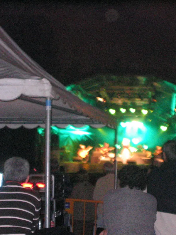 Foto de Festival Intercéltico do Morrazo